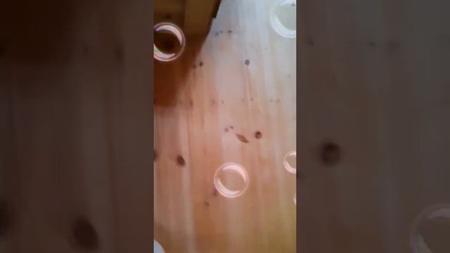 Обзор дачи первый этаж смотреть онлайн