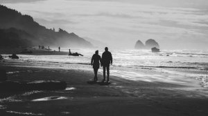 Вела меня - Андрей Леницкий