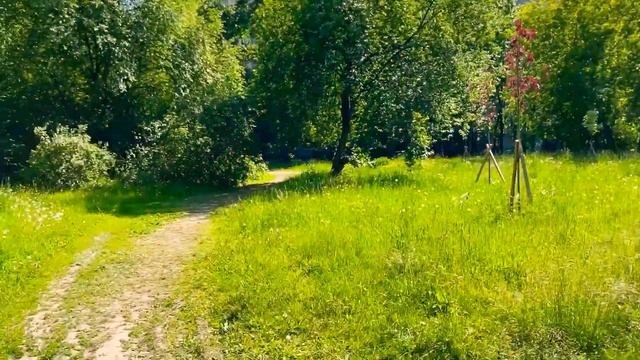 Вот такая прекрасная прогулка 12.06.22 всех с праздником Днём России !Всем Мира смотреть онлайн