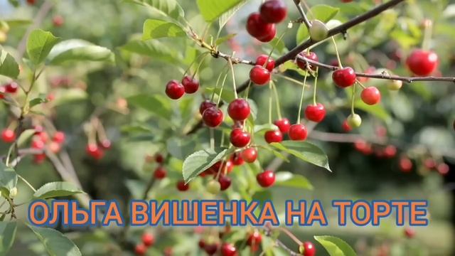 А СЧАСТЬЕ РЯДОМ, В КАЗАНЕ. ОЛЬГА УРАЛОЧКА LIVE. ОБЗОР ВЛОГА. смотреть онлайн