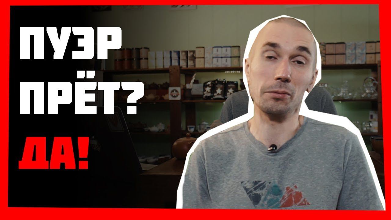 Пуэр прёт? ТОП-5 самых популярных вопросов о чае! смотреть онлайн
