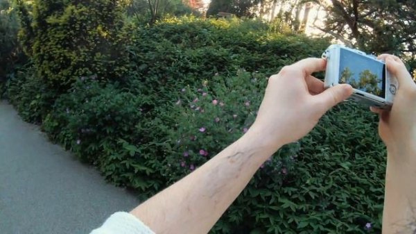 Olympus PEN E-P7 POV PHOTOGRAPHY in a Japanese garden