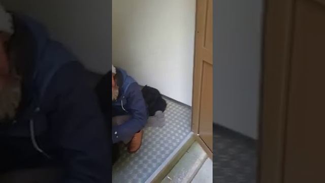 туалеты при #собянине #какпохорошеламосква #туалет #понаприехалм смотреть онлайн