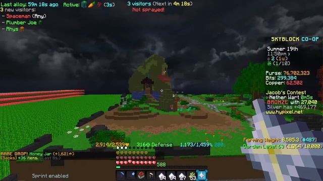 🔴HYPIXEL Skyblock IGN Info Holding #1 Beetle/Fly Pests (Day 293 NW 31b, SA 52.6) смотреть онлайн