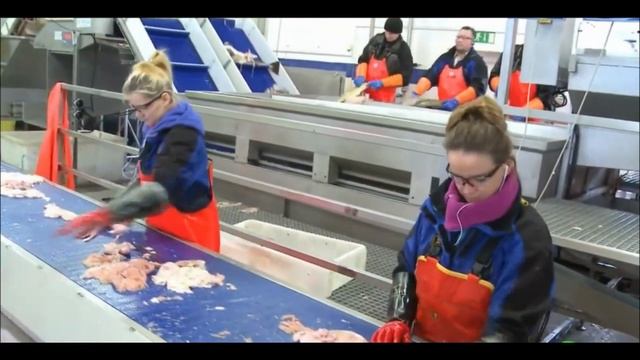 Работа в Польше. Рыба, плюсы минусы смотреть онлайн