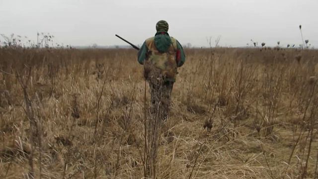 Полювання на куріпок з Дратхааром. смотреть онлайн