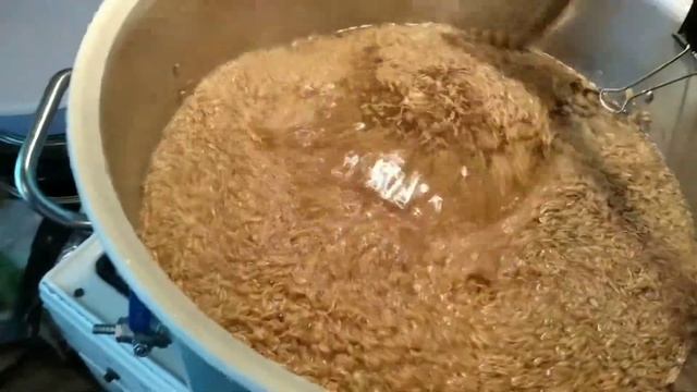 Эксперемент.Курский солод, квас из гречишного солода.