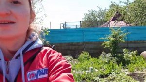 Покраска ржавого забора обычной краской по металлу и ржавчине с Леруа Мерлен