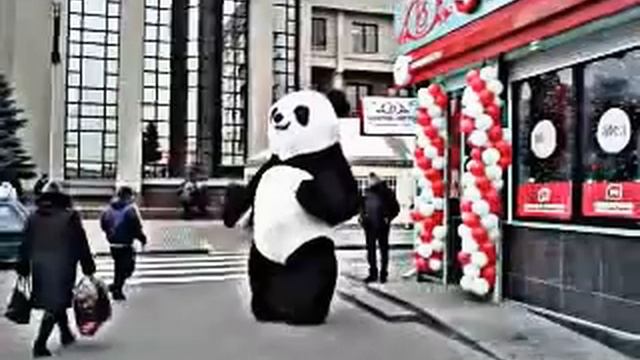 Танцующая панда (Гомель) смотреть онлайн