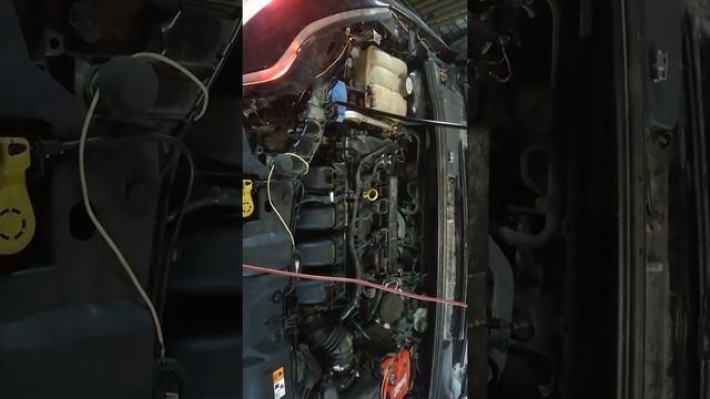 После не равной борьбы.Запуск после кап ремонта Форд фокус 3 2.0л смотреть онлайн