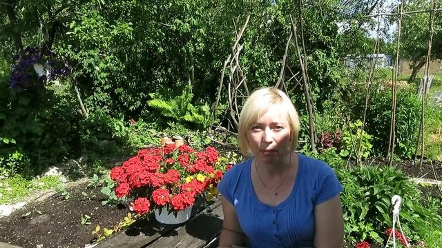 Совка, как её победить?! Виды совки, профилактика и борьба смотреть онлайн