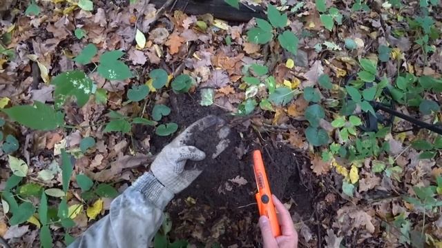ТКНУЛ ЛОПАТОЙ И ТАМ СВЕРКНУЛО! ЭТО ОНО! НАХОДКА У ПЕРЕСОХШЕГО РУЧЬЯ Коп с мд Gold Hunter Frogman B7 смотреть онлайн