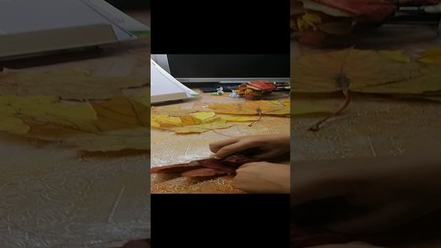 VID_20230925_135955.mp4 смотреть онлайн