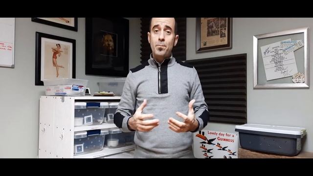 Pairing a Normal Ball Python! Why Breed NORMAL Ball Pythons?? смотреть онлайн