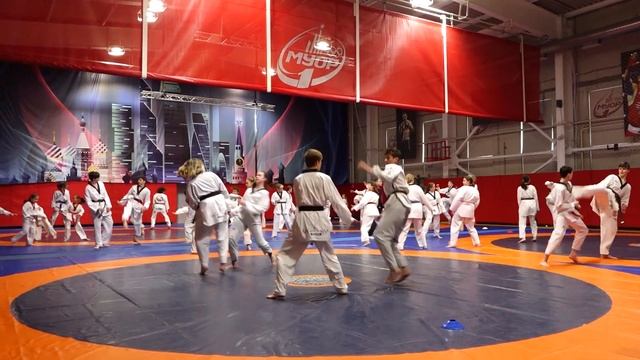 Мастер-класс по тхэквондо Максима Храмцова смотреть онлайн