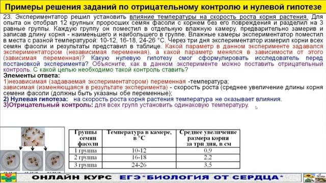 НОВЫЙ ТИП ЗАДАНИЙ ЕГЭ 2023. МИНИ-МОДЕЛЬ В ЛИНИЯХ 23-24.  ОТРИЦАТЕЛЬНЫЙ КОНТРОЛЬ И НУЛЕВАЯ ГИПОТЕЗА.