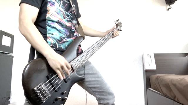 Bullet For My Valentine - Don't Need You || BASS COVER смотреть онлайн