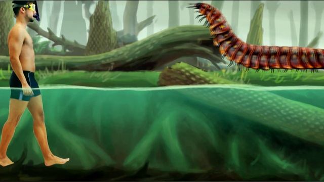 CARBONIFEROUS Period. Animals size comparison and data. смотреть онлайн