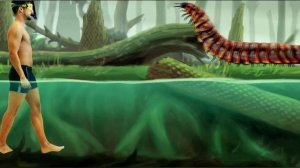 CARBONIFEROUS Period. Animals size comparison and data.