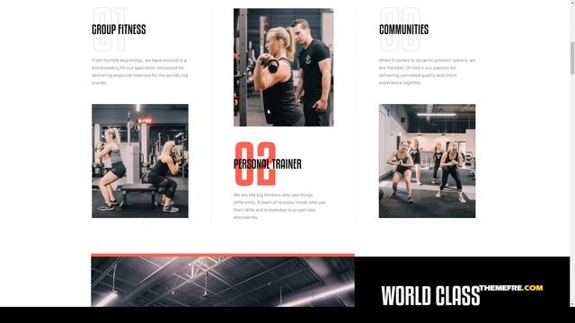 Fitlap - Gym And Fitness Club WordPress Theme Health Clean Araki