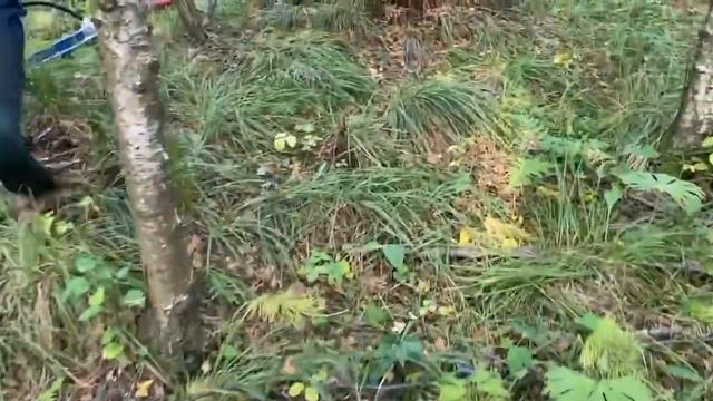 Не проверил электрику и пришлось мыть по старинке смотреть онлайн