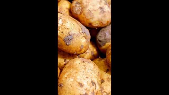 НЕ ВЫБРАСЫВАЙТЕ КАРТОФЕЛЬНЫЕ ОЧИСТКИ! Это натуральная ПОДКОРМКА для ваших растений! #сад #shorts смотреть онлайн