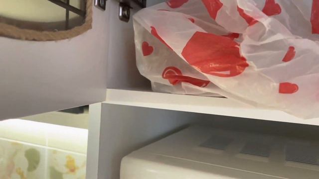 Французский бульдог Марсик и печенька смотреть онлайн