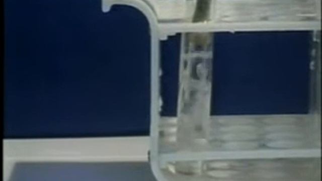 thí nghiệm dung dịch Ca(OH)2 tác dụng với khí CO2 смотреть онлайн