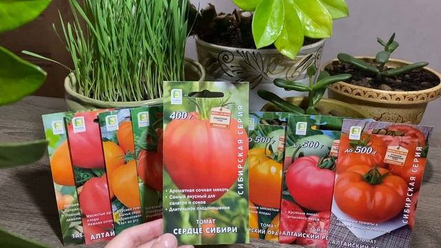 Томаты "Сибирская серия". смотреть онлайн