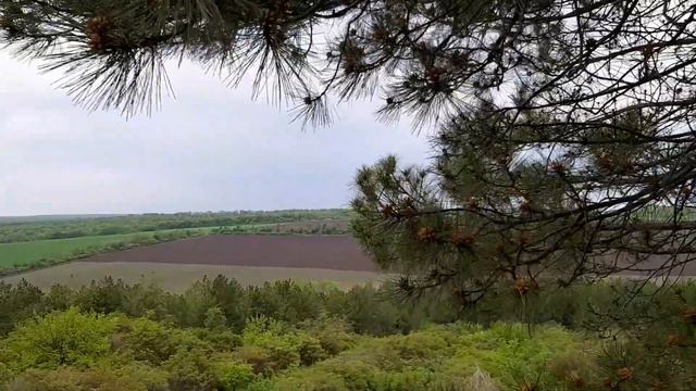 Вера в невидимое . Вера от слышанья.(Иисус Навин 2) смотреть онлайн