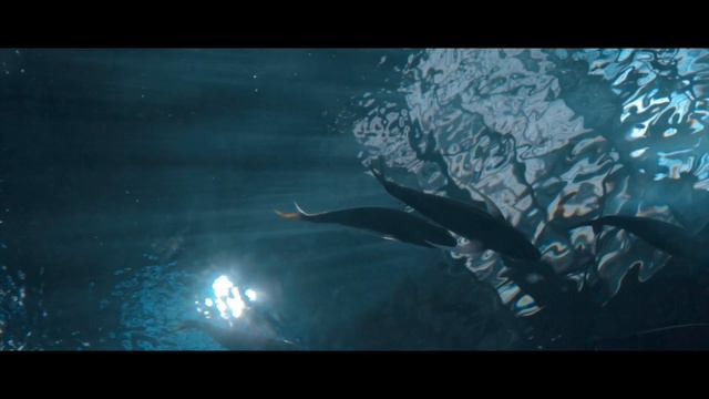 Okinawa | Japan Cinematic Travel | Sony A7ii | Slog 2 Lut Vintage смотреть онлайн