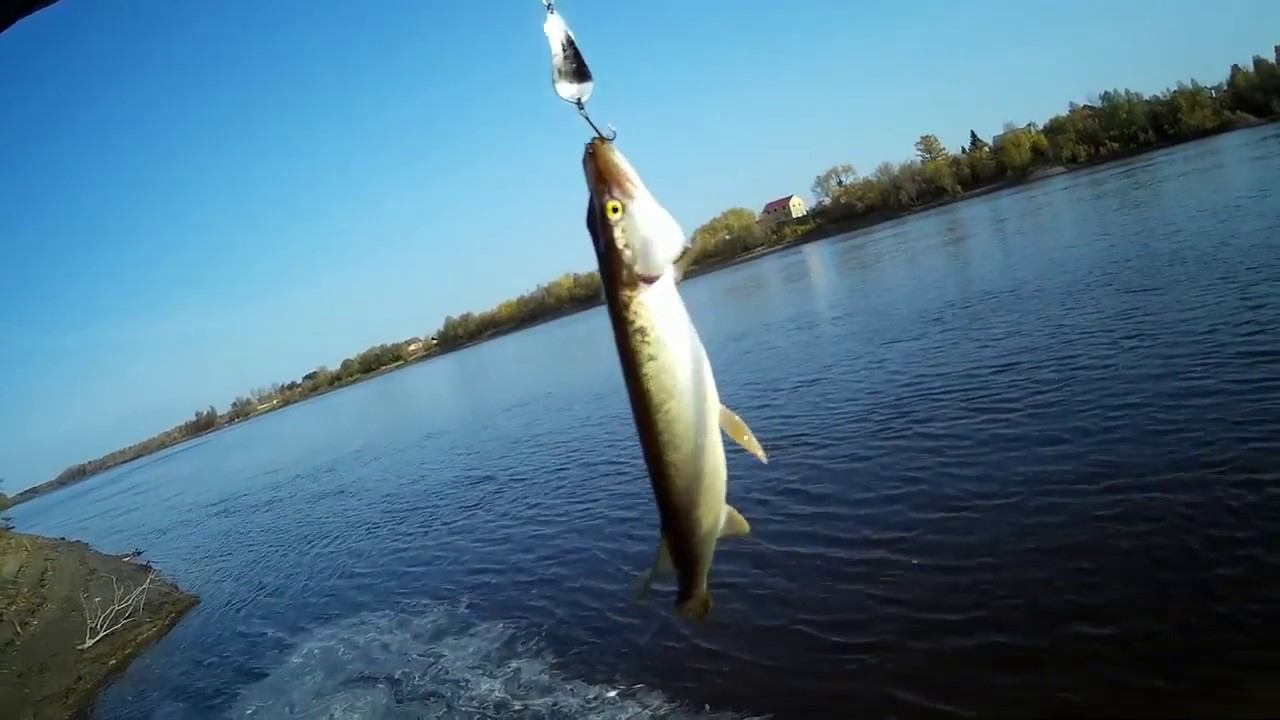 Закрыли сезон. Последняя щука. #NIK_72 смотреть онлайн