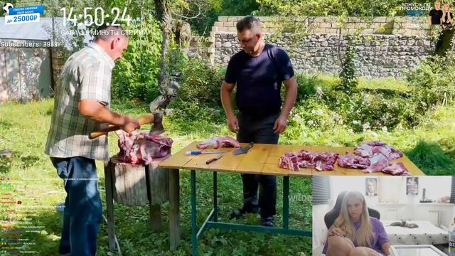 Стрим modestal - SUBATHON \ сабатон, марафон на модестал, Часть 11 смотреть онлайн