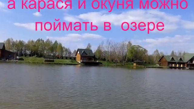 База отдыха Шепильская. Долголука. Отдых в Карпатах смотреть онлайн