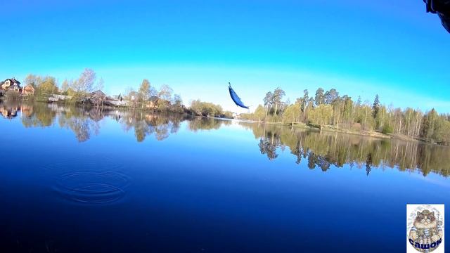 Мормышинг.Major Craft Finetail Area 602XUL и MAXIMUS STREETRACER 18 XUL 1.8M 0.2-3.5G SOLID смотреть онлайн