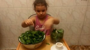 Мята на зиму. Рецепт