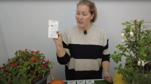 ЗОЛОТЫЕ ПРАВИЛА ВЫБОРА СЕМЯН. КАК ЧИТАТЬ ЭТИКЕТКУ!