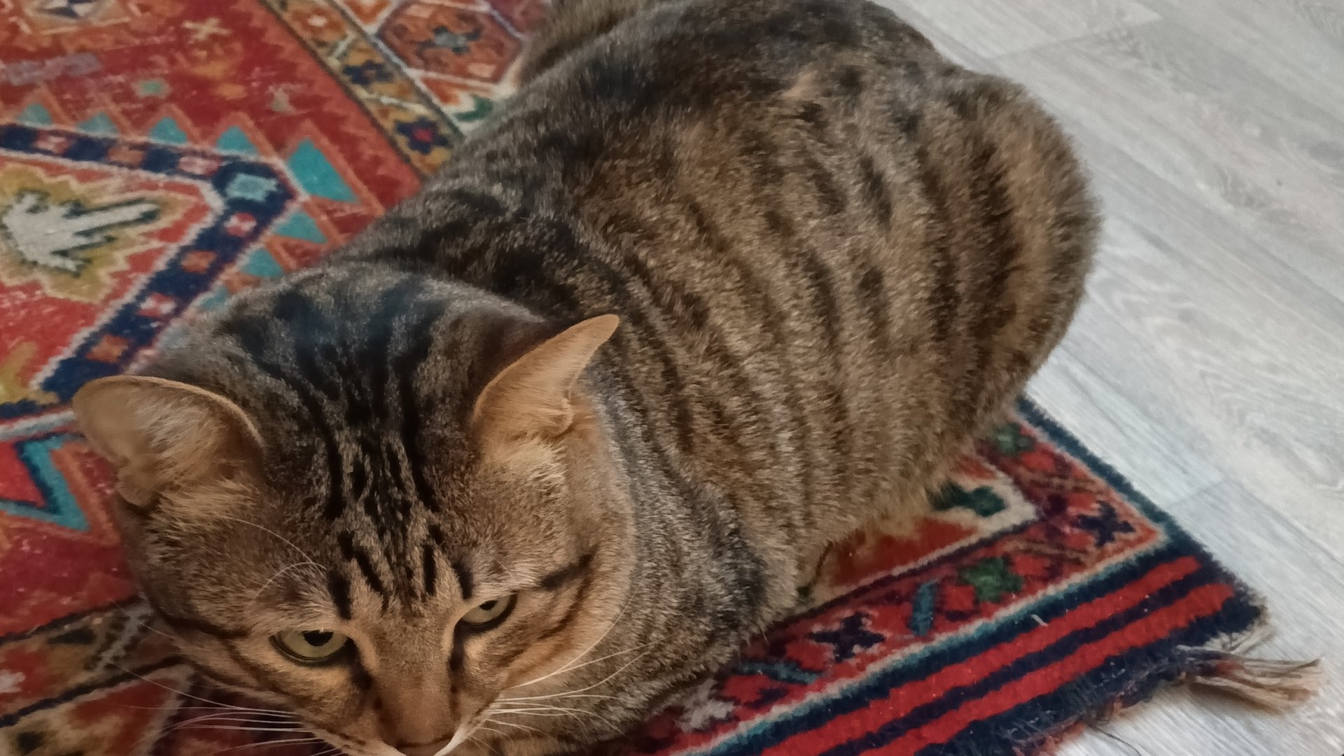 Аня Play Vlogs - Базя (Официальный трек 2024)