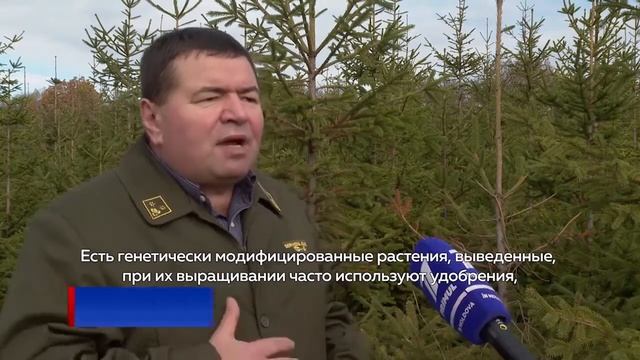 ЕЛКИ ПО КРИЗИСНЫМ ЦЕНАМ: НА 20 % ДЕШЕВЛЕ смотреть онлайн