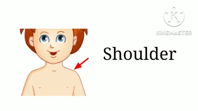 Names of Body parts - Body part in English - Our Body Parts - @Fun N Learn Preschool смотреть онлайн