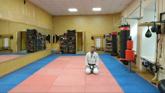 Онлайн тренировка в ЦВЕ Будокан - Кихон, силовая тренировка, техника ударов ногами смотреть онлайн