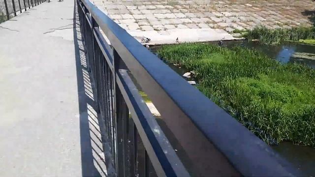 Говорят дети не устают / Активная прогулка с сыном смотреть онлайн