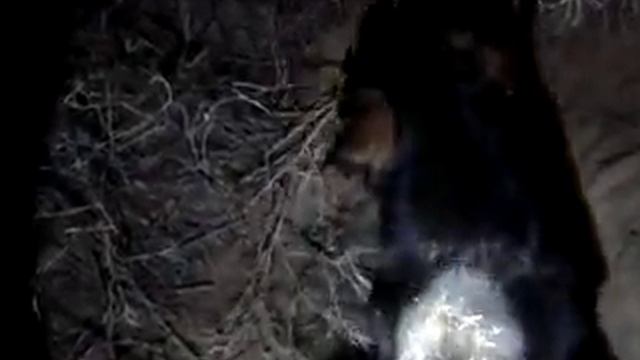 охота с ягдом смотреть онлайн