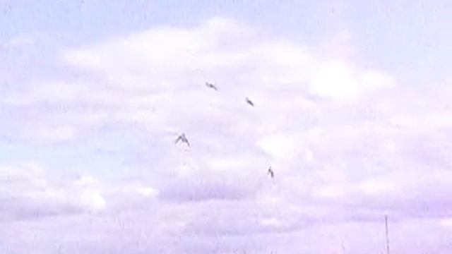 синхронный кайтинг #2