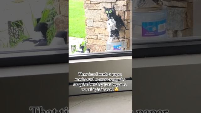 Мужик сделал чучело сороки, чтобы отгонять пернатых, но все пошло не по плану смотреть онлайн