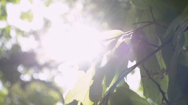 УТРЕННЯЯ МЕДИТАЦИЯ. ГАРМОНИЧНОЕ УТРО. НАСТРОЙ НА ДЕНЬ. ЗАРЯДИ СВОЙ ДЕНЬ за 5 минут! смотреть онлайн