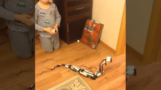 Змея робот смотреть онлайн