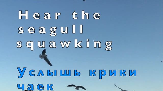 Calming sea sounds and sea view. Английский перед сном.Успокаивающие звуки моря. Russion lessons. смотреть онлайн