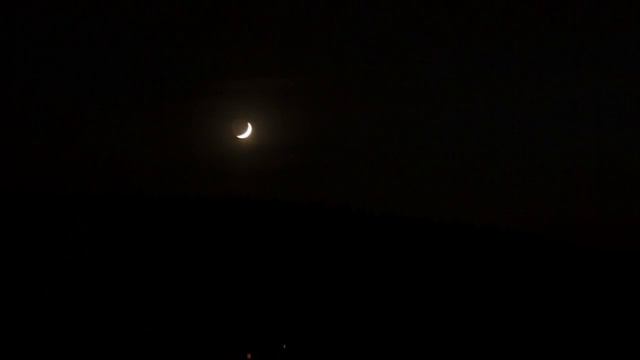 Я и моя шизофрения . Глава 4. смотреть онлайн