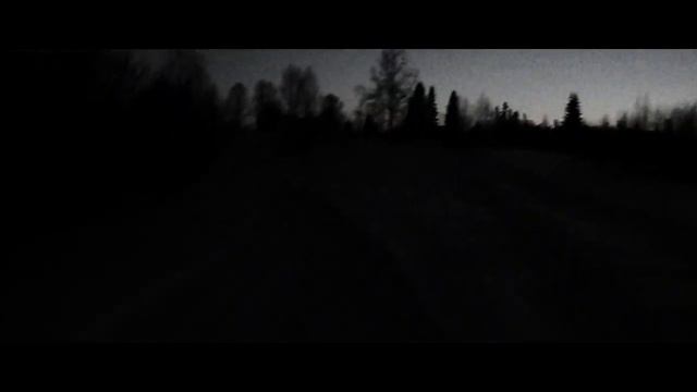 Жуткая атмосфера лесной дороги - Forest | Жутко атмосферные видео смотреть онлайн